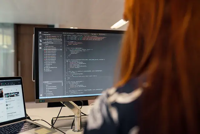 software engineer